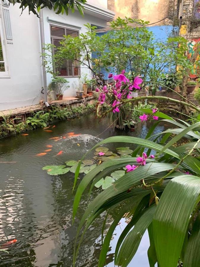 Chez Madame Binh Bed and Breakfast Hanoi Eksteriør billede